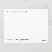 A Lakeshore Winter Briefkaart (Achterkant)