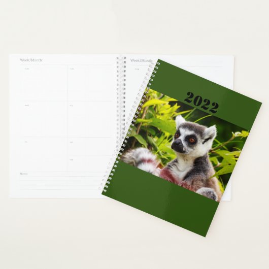 a lemur of Madagascar on planner (Display)