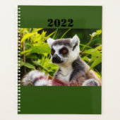 a lemur of Madagascar on planner (Voorkant)
