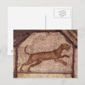 A Leopard Briefkaart (Voorkant / Achterkant)