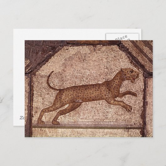 A Leopard Briefkaart (Voorkant / Achterkant)