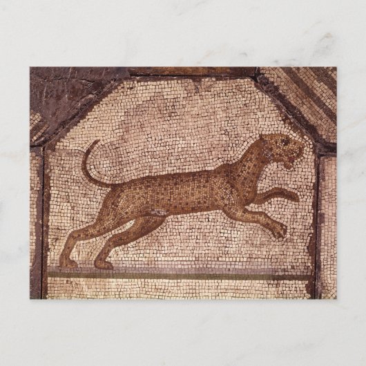 A Leopard Briefkaart (Voorkant)