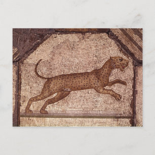A Leopard Briefkaart