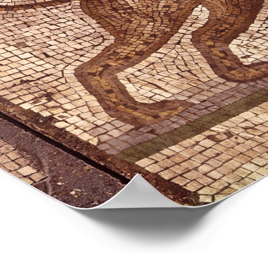 A Leopard Poster (Hoek)
