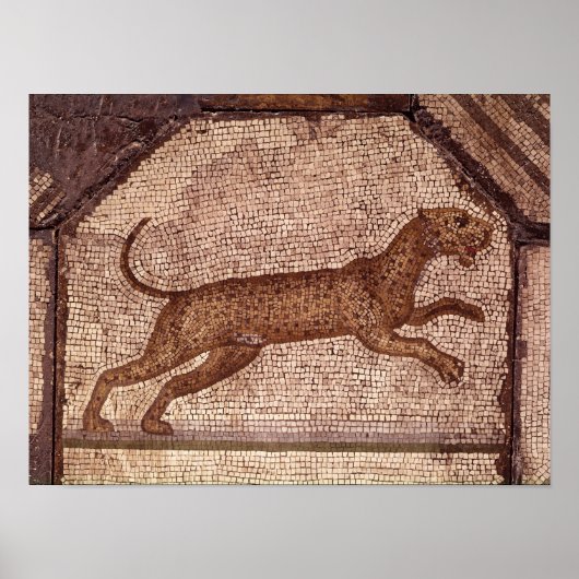 A Leopard Poster (Voorkant)