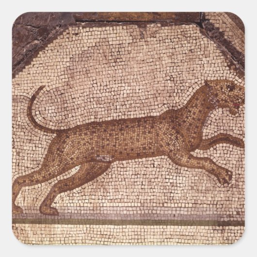 A Leopard Vierkante Sticker (Voorkant)
