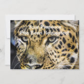 A Leopard's ogen Kaart (Voorkant)
