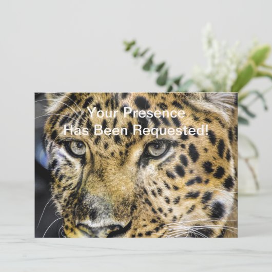 A Leopard's ogen Kaart (Staand voorkant)