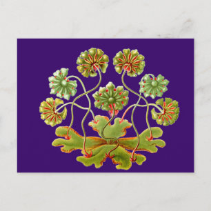 A Levermos Briefkaart