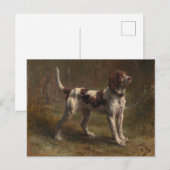 A Limier Briquet Hound Briefkaart (Voorkant / Achterkant)