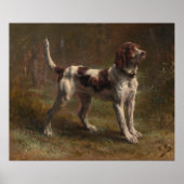 A Limier Briquet Hound Poster (Voorkant)