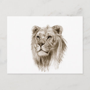 A Lion - zonder trots tekenen schetskunst Briefkaart