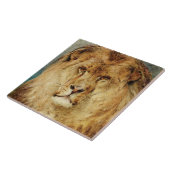 A Lion's Head (van Heywood Hardy) Tegeltje (Zijkant)