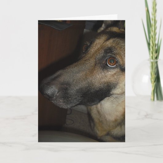 A little Let goes a long way greeting card Kaart (Voorkant)