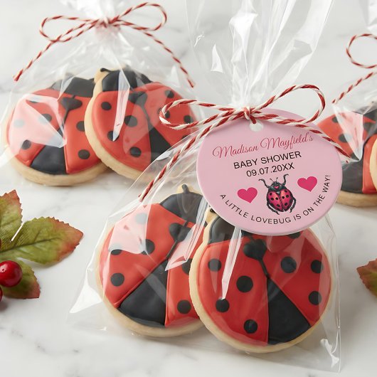 A Little Love Bug Is On The Way Ladybug Bedankjes Labels