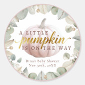 A Little Pumpkin Blush Fall Baby Shower Favor Stic Ronde Sticker (Voorkant)