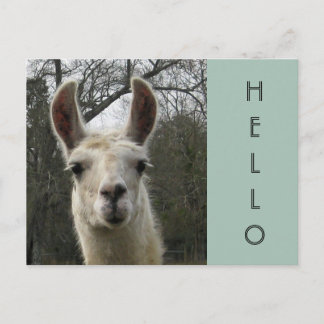 A Llama Hallo Briefkaart