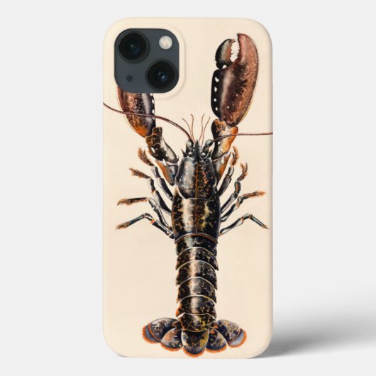 A Lobster from Solva Case-Mate iPhone Case (Achterkant)