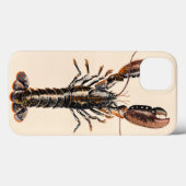 A Lobster from Solva Case-Mate iPhone Case (Achterkant (horizontaal))