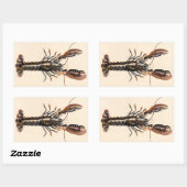A Lobster from Solva Rechthoekige Sticker (Vel)