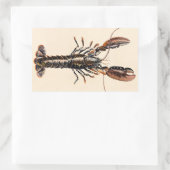A Lobster from Solva Rechthoekige Sticker (Tas)