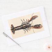 A Lobster from Solva Rechthoekige Sticker (Envelop)