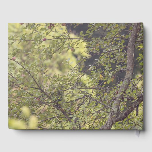 A Lone Deer Persoonlijke naam en datum Gastenboek (Achterkant)