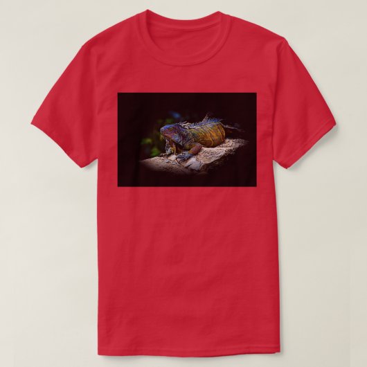 A Lounging Montanita Iguana T-shirt (Design voorkant)
