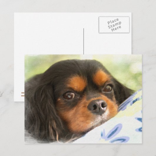 A Love Like No Other Cavalier King Charles Spaniel Briefkaart (Voorkant / Achterkant)