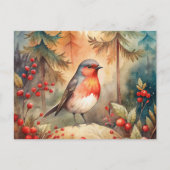 A lovely Robin in Autumn Briefkaart (Voorkant)