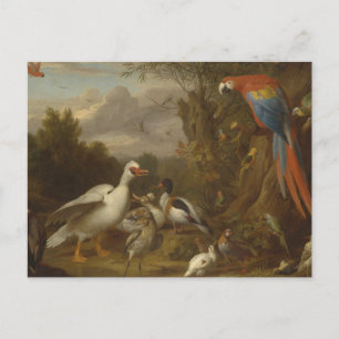 A Macaw Ducks Parrots and Other Birds in a Landsca Briefkaart