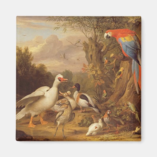 A Macaw, Ducks, Parrots en andere vogels in de dee Magneet (Voorkant)