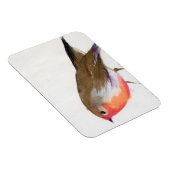 A magical little robin called Wisp 2011 Magneet (Rechterzijde)