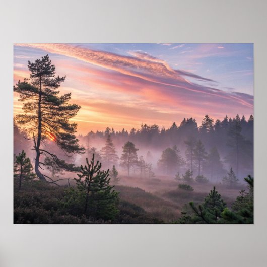 A Majestic Boreal Forest at Dawn with Radiant Morn Poster (Voorkant)