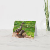 A Mallard Duck and her Duckling Greeting card Kaart (Voorkant)