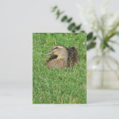 A Mallard Hen Briefkaart (Staand voorkant)