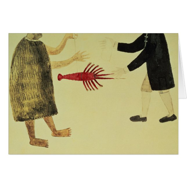 A Maori blaast de krayvis (Voorkant Horizontaal)