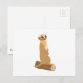 A Meerkat Briefkaart (Voorkant / Achterkant)