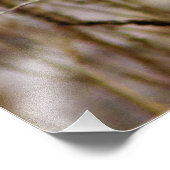 "A Messenger of Hope" Foto Afdruk (Hoek)