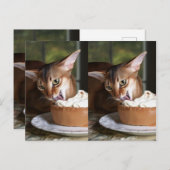 A Moment of Sweet Stillness – Art Postcard Briefkaart (Voorkant / Achterkant)