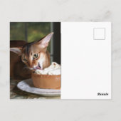 A Moment of Sweet Stillness – Art Postcard Briefkaart (Achterkant)