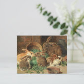 A Mother Rabbit and her Young by Alfred Barber Briefkaart (Staand voorkant)