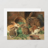 A Mother Rabbit and her Young by Alfred Barber Briefkaart (Voorkant / Achterkant)