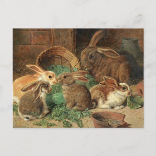 A Mother Rabbit and her Young by Alfred Barber Briefkaart (Voorkant)