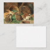 A Mother Rabbit and her Young by Alfred Barber Notitiekaartje (Voorkant / Achterkant)