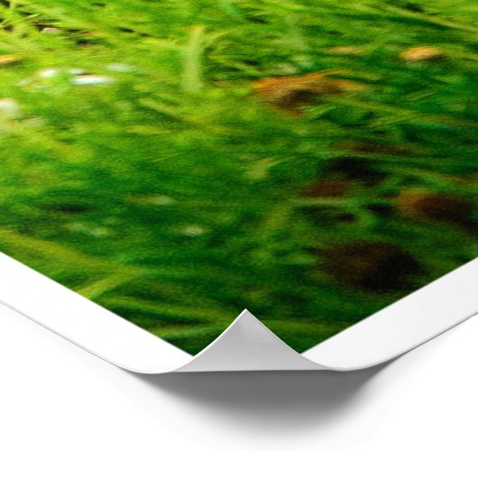 A Mother’s Kiss Poster (Hoek)