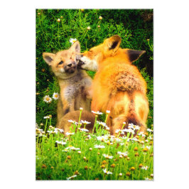 A Mother's Kiss Wildlife Nature Art Print Foto Afdruk