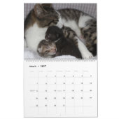 A MOTHERS LOVE MAMACAT & HER KITTENS KALENDER (Mar 2027)