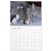 A MOTHERS LOVE MAMACAT & HER KITTENS KALENDER (Jan 2027)
