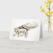 "A Mother's Love" Sleeping Mare and Foal groet Kaart (Gele Bloem)